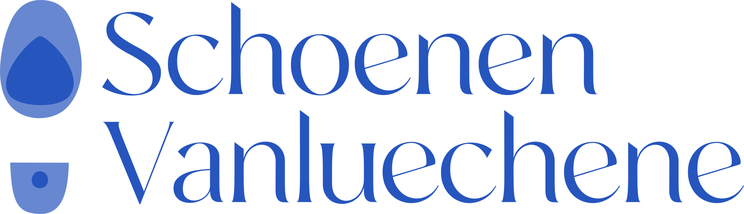 Schoenen Vanluechene